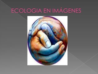 ECOLOGIA EN IMÁGENES 