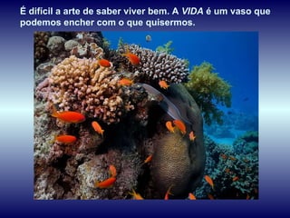 É difícil a arte de saber viver bem. A  VIDA  é um vaso que podemos encher com o que quisermos.  