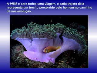 A  VIDA  é para todos uma viagem, e cada trajeto dela representa um trecho percorrido pelo homem no caminho de sua evolução.  