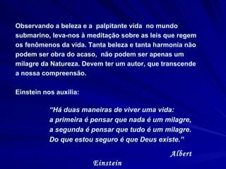 Observando a beleza e a  palpitante vida  no mundo submarino, leva-nos à meditação sobre as leis que regem os fenômenos da vida. Tanta beleza e tanta harmonia não podem ser obra do acaso,  não podem ser apenas um milagre da Natureza. Devem ter um autor, que transcende a nossa compreensão.  Einstein nos auxilia:  “ Há duas maneiras de viver uma vida:  a primeira é pensar que nada é um milagre,  a segunda é pensar que tudo é um milagre. Do que estou seguro é que Deus existe .” Albert Einstein 