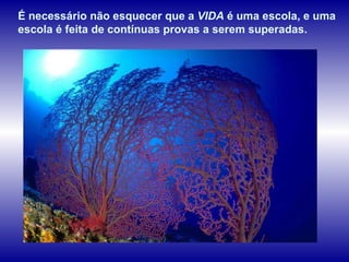 É necessário não esquecer que a  VIDA  é uma escola, e uma escola é feita de contínuas provas a serem superadas.  