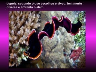 depois, segundo o que escolheu e viveu, tem morte diversa e enfrenta o além.  