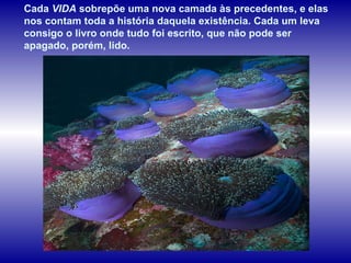 Cada  VIDA  sobrepõe uma nova camada às precedentes, e elas nos contam toda a história daquela existência. Cada um leva consigo o livro onde tudo foi escrito, que não pode ser apagado, porém, lido. 