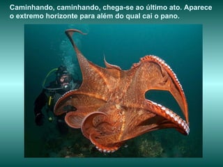 Caminhando, caminhando, chega-se ao último ato. Aparece o extremo horizonte para além do qual cai o pano.  