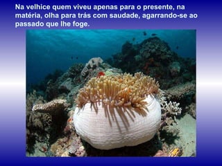Na velhice quem viveu apenas para o presente, na matéria, olha para trás com saudade, agarrando-se ao passado que lhe foge.  