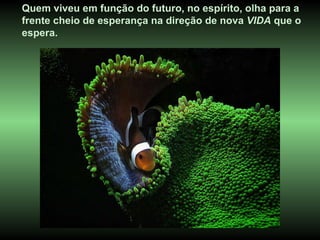 Quem viveu em função do futuro, no espírito, olha para a frente cheio de esperança na direção de nova  VIDA  que o espera.  