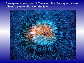 Para quem viveu preso à Terra, é o fim. Para quem viveu olhando para o alto, é o princípio.  