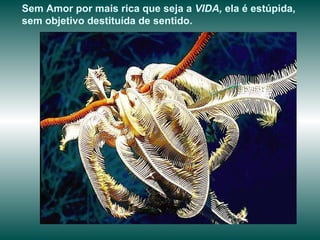 Sem Amor por mais rica que seja a  VIDA,  ela é estúpida, sem objetivo destituída de sentido.  