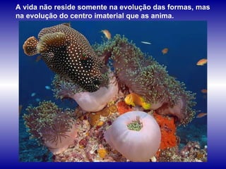 A vida não reside somente na evolução das formas, mas na evolução do centro imaterial que as anima.   