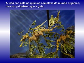 A  vida  não está na química complexa do mundo orgânico, mas no psiquismo que a guia.   