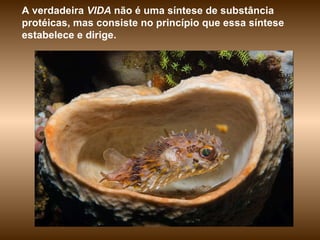 A verdadeira  VIDA  não é uma síntese de substância protéicas, mas consiste no princípio que essa síntese estabelece e dirige.   