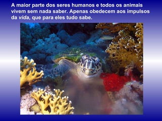 A maior parte dos seres humanos e todos os animais vivem sem nada saber. Apenas obedecem aos impulsos da  vida , que para eles tudo sabe.   