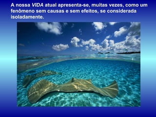 A nossa  VIDA  atual apresenta-se, muitas vezes, como um fenômeno sem causas e sem efeitos, se considerada isoladamente.   