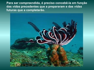 Para ser compreendida, é preciso concebê-la em função das  vidas  precedentes que a prepararam e das  vidas  futuras que a completarão.   