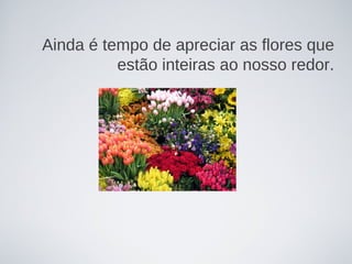 Ainda é tempo de apreciar as flores que
          estão inteiras ao nosso redor.
 