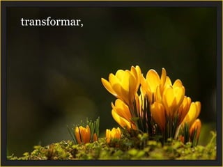 transformar,