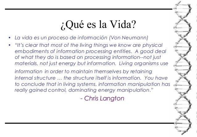 Significado de la Vida