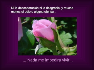 Ni la desesperación ni la desgracia, y mucho menos el odio o alguna ofensa... ... Nada me impedirá vivir... 