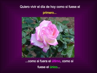Quiero vivir el día de hoy como si fuese el primero... ...como si fuera el   último , como si  fuese el  único ...  