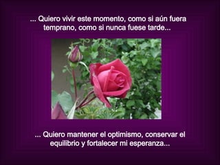 ... Quiero vivir este momento, como si aún fuera temprano, como si nunca fuese tarde...  ... Quiero mantener el optimismo, conservar el equilibrio y fortalecer mi esperanza... 