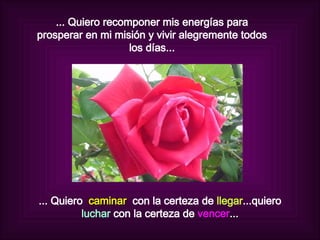 ... Quiero recomponer mis energías para prosperar en mi misión y vivir alegremente todos los días... ... Quiero  caminar   con la certeza de  llegar ...quiero  luchar  con la certeza de  vencer ... 