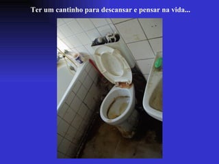 Ter um cantinho para descansar e pensar na vida... 