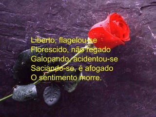 Liberto, flagelou-se Florescido, não regado Galopando, acidentou-se Saciando-se, é afogado O sentimento morre. 