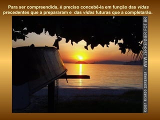 Para ser compreendida, é preciso concebê-la em função das  vidas  precedentes que a prepararam e  das  vidas  futuras que a completarão.   