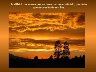 A  VIDA  é um vaso a que se deve dar um conteúdo, um meio que necessita de um fim.  