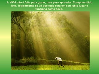 A  VIDA  não é feita para gozar, mas para aprender. Compreendido isto,  logicamente se vê que tudo está em seu justo lugar e  funciona como deve.  