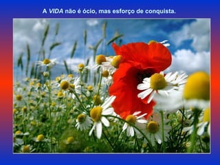 A  VIDA  não é ócio, mas esforço de conquista.  