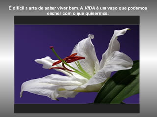 É difícil a arte de saber viver bem. A  VIDA  é um vaso que podemos  encher com o que quisermos.  