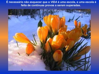 É necessário não esquecer que a  VIDA  é uma escola, e uma escola é feita de contínuas provas a serem superadas.  
