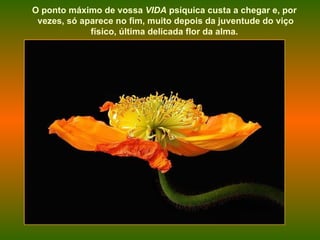 O ponto máximo de vossa  VIDA  psíquica custa a chegar e, por vezes, só aparece no fim, muito depois da juventude do viço físico, última delicada flor da alma.  