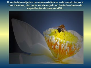 O verdadeiro objetivo de nossa existência, o de construirmos a  nós mesmos, não pode ser alcançado no limitado número de experiências de uma só  VIDA .  