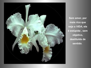 Sem amor, por mais rica que seja a  VIDA,  ela é estúpida , sem objetivo, destituída de sentido .  