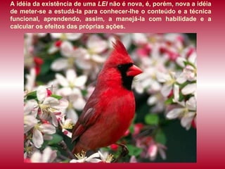 A idéia da existência de uma  LEI  não é nova, é, porém, nova a idéia de meter-se a estudá-la para conhecer-lhe o conteúdo e a técnica funcional, aprendendo, assim, a manejá-la com habilidade e a calcular os efeitos das próprias ações.  
