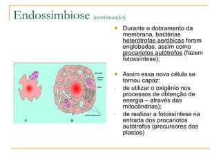 Endossimbiose  (continuação) Durante o dobramento da membrana, bactérias  heterótrofas aeróbicas  foram englobadas, assim como  procariotos autótrofos  (fazem fotossíntese); Assim essa nova célula se tornou capaz: de utilizar o oxigênio nos processos de obtenção de energia – através das mitocôndrias); de realizar a fotossíntese na entrada dos procariotos autótrofos (precursores dos plastos) 
