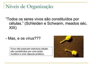 Níveis de Organização “ Todos os seres vivos são constituídos por células.” (Schleiden e Schwann, meados séc. XIX) - Mas, e os vírus??? Vírus não possuem estrutura celular, são constituídos por uma ácido nucléico e uma cápsula protéica.  