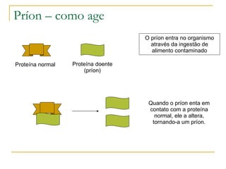 Príon – como age Proteína normal Proteína doente (príon) Quando o príon enta em contato com a proteína normal, ele a altera, tornando-a um príon. O príon entra no organismo através da ingestão de alimento contaminado 
