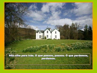 Não olhe para trás. O que passou, passou. O que perdemos,
                        perdemos.
 