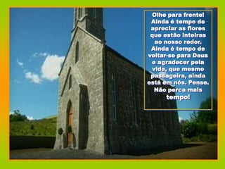 Olhe para frente!
 Ainda é tempo de
 apreciar as flores
 que estão inteiras
   ao nosso redor.
 Ainda é tempo de
voltar-se para Deus
 e agradecer pela
  vida, que mesmo
 passageira, ainda
está em nós. Pense.
   Não perca mais
     tempo!
 