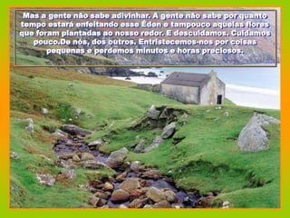 Mas a gente não sabe adivinhar. A gente não sabe por quanto
tempo estará enfeitando esse Éden e tampouco aquelas flores
que foram plantadas ao nosso redor. E descuidamos. Cuidamos
   pouco.De nós, dos outros. Entristecemos-nos por coisas
       pequenas e perdemos minutos e horas preciosos.
 