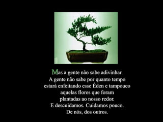 Mas a gente não sabe adivinhar.
  A gente não sabe por quanto tempo
estará enfeitando esse Éden e tampouco
        aquelas flores que foram
        plantadas ao nosso redor.
   E descuidamos. Cuidamos pouco.
           De nós, dos outros.
 