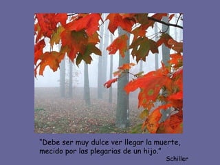 “Debe ser muy dulce ver llegar la muerte,
mecido por las plegarias de un hijo.”
                                    Schiller
 