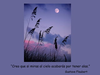 “Creo que si miras al cielo acabarás por tener alas.”
                                    Gustave Flaubert
 
