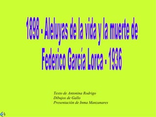 1898 - Aleluyas de la vida y la muerte de  Federico García Lorca - 1936 Texto de Antonina Rodrigo Dibujos de Gallo Presentación de Inma Manzanares 