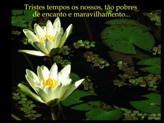 Tristes tempos os nossos, tão pobres  de encanto e maravilhamento... 