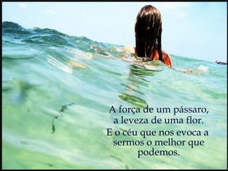 A força de um pássaro, a leveza de uma flor. E o céu que nos evoca a  sermos o melhor que podemos. 