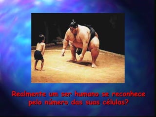 Realmente um ser humano se reconhece pelo n ú mero das suas c é lulas? 